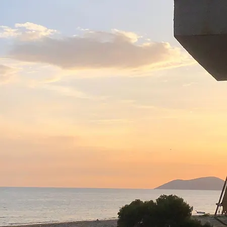 Ardi Vlorë