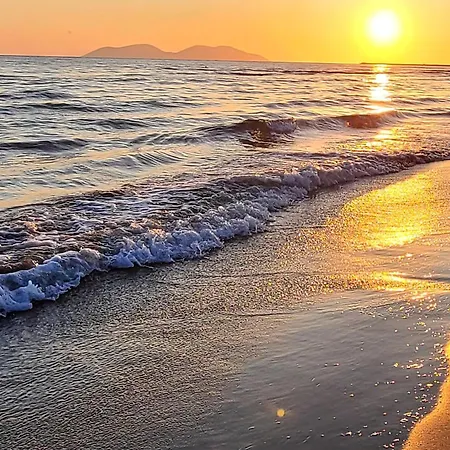 Ardi * Vlorë